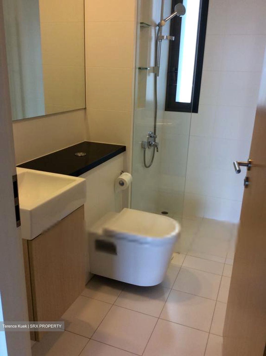 The Arte (D12), Condominium #297291651